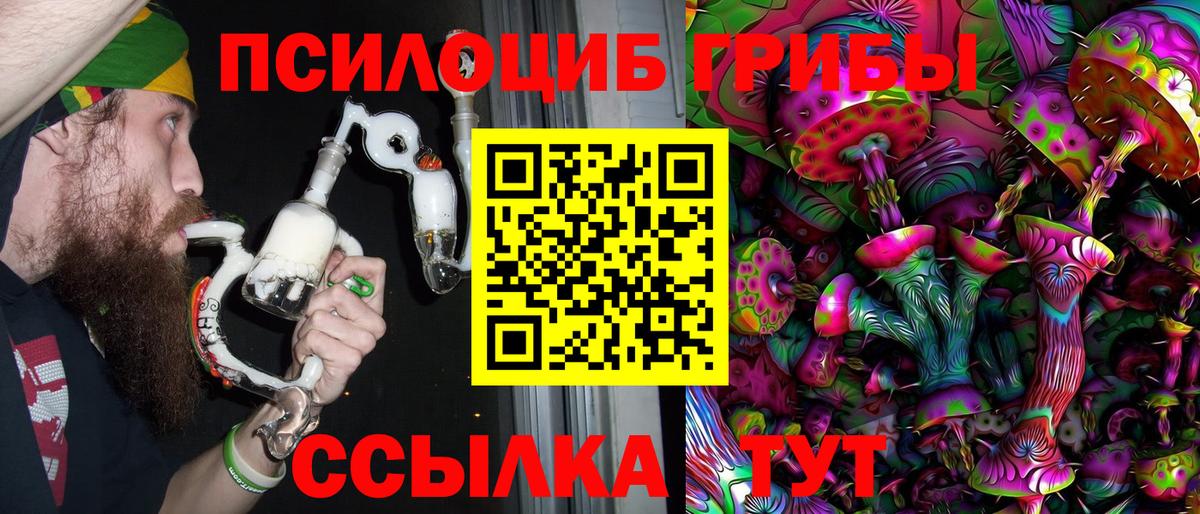 где можно купить наркотик  Вход с VPN  Камень-на-Оби  Псилоцибиновые грибы GOLDEN TEACHER 